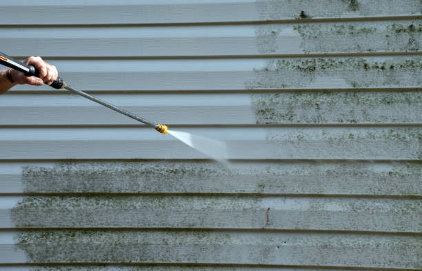 Best Certified Mold Removal  in Lakeport, CA